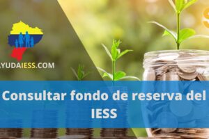 Como consultar el fondo de reserva del IESS